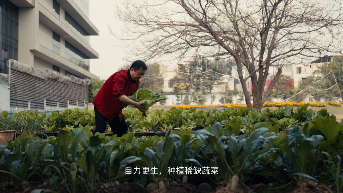 Huawei, Corporate DVC: still 6 from the project